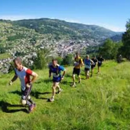 Maison De Montagne Hautes Vosges- 12 Pers-Nature-Randonnee- Vtt * Le Thillot